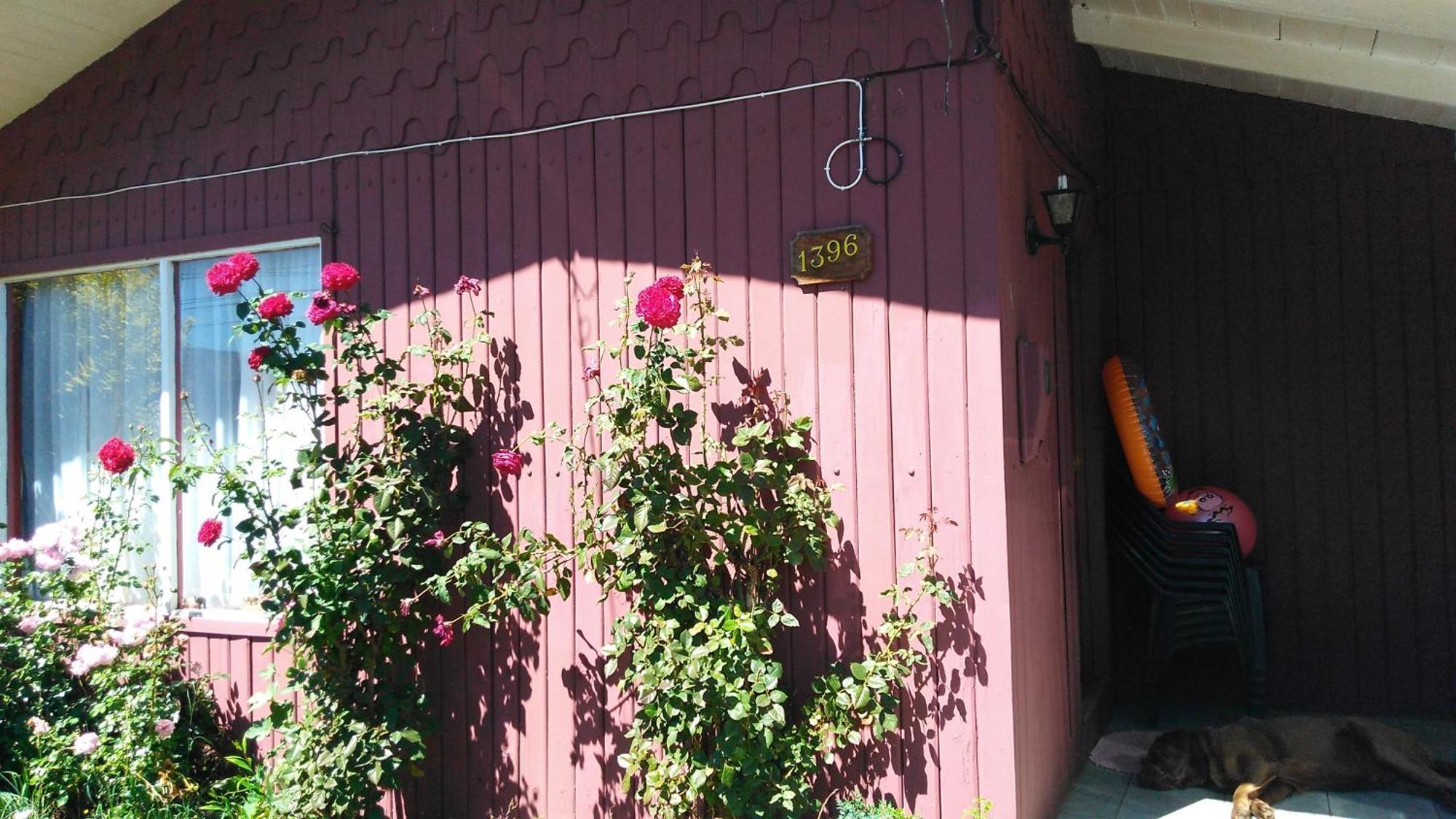 Casa De Gio Hotel Osorno Zewnętrze zdjęcie